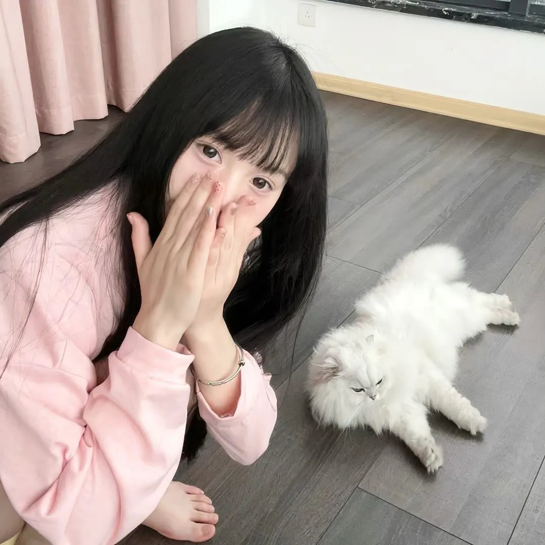 真正的正义6 在线观看